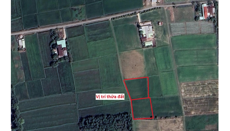 BÁN ĐẤT CHÍNH CHỦ KHÔNG QUA MÔI GIỚI, CẦN RA GẤP GIÁ TỐT